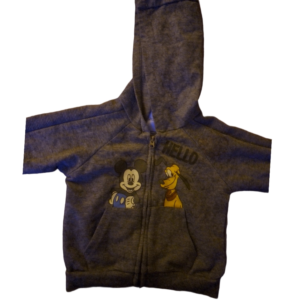 Mickey and goofy hoodie
